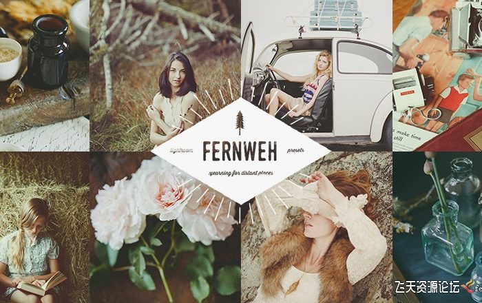 [胶片LR预设]Red Leaf 工作室出品 The Fernweh 彩色及复古胶片预设