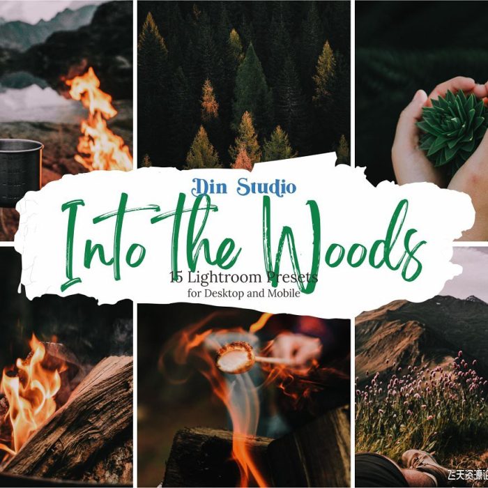 [风光LR预设]旅拍风光走进树林-胶片感色调LR预设  Into The Woods Lightroom Presets