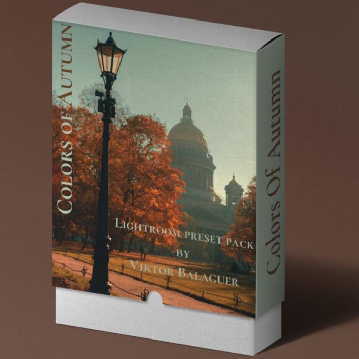 [旅拍LR预设]街头摄影师 Viktor Balaguer 秋天的色彩Lightroom预设 Colors Of Autumn