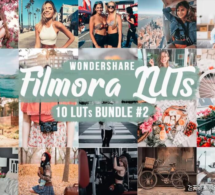 电影大片胶片人像后期调色LUT预设 Filmora LUTs Bundle#2