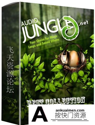 [音效素材][素材发布]AudioJungle – Best Collection 独家最新最全合集 1650首15G