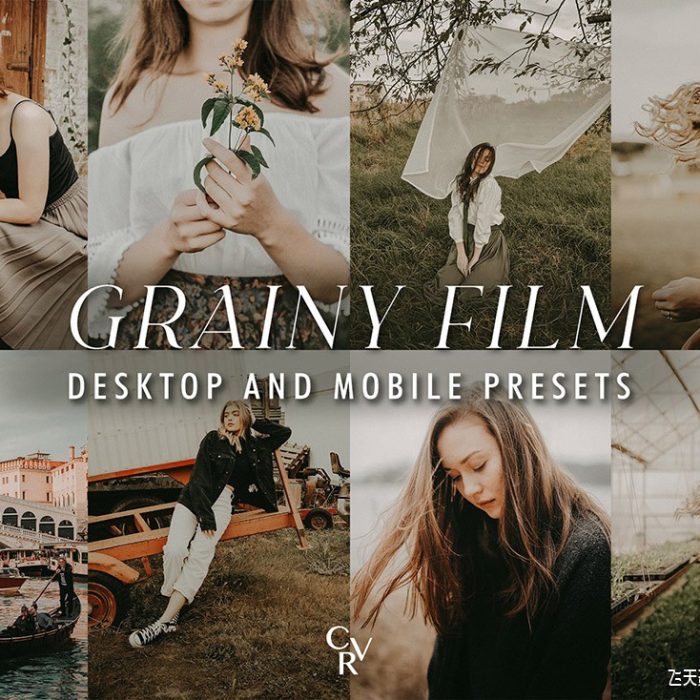 [胶片LR预设]10个经典颗粒状胶片Lightroom预设 10 Grainy Film Lightroom Presets