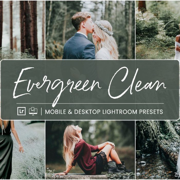 [人像LR预设]森系质感蓝绿质感电影人像调色Lightroom预设  Lightroom Presets Evergreen Clean