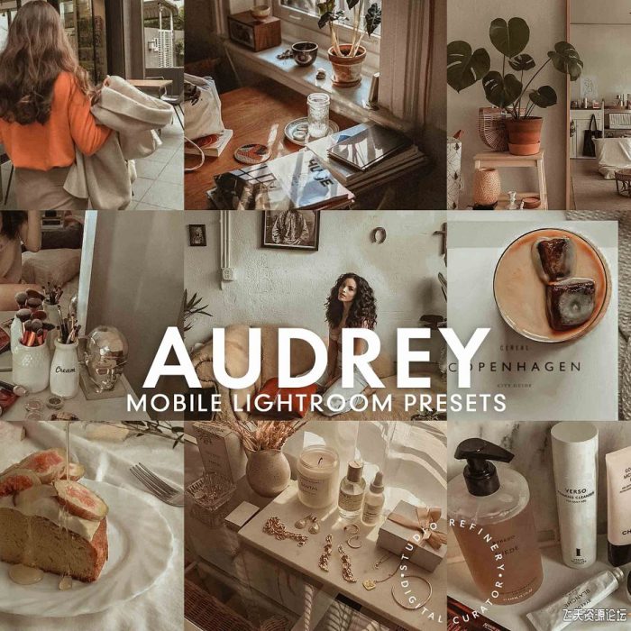 [人像LR预设]莫兰迪灰色调LR预设/APP调色滤镜 5 AUDREY Mobile Lightroom Presets