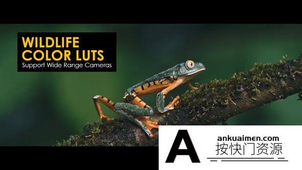 15个清晰通透自然野生动物视频调色LUT预设LUTs预设 Wildlife LUTs