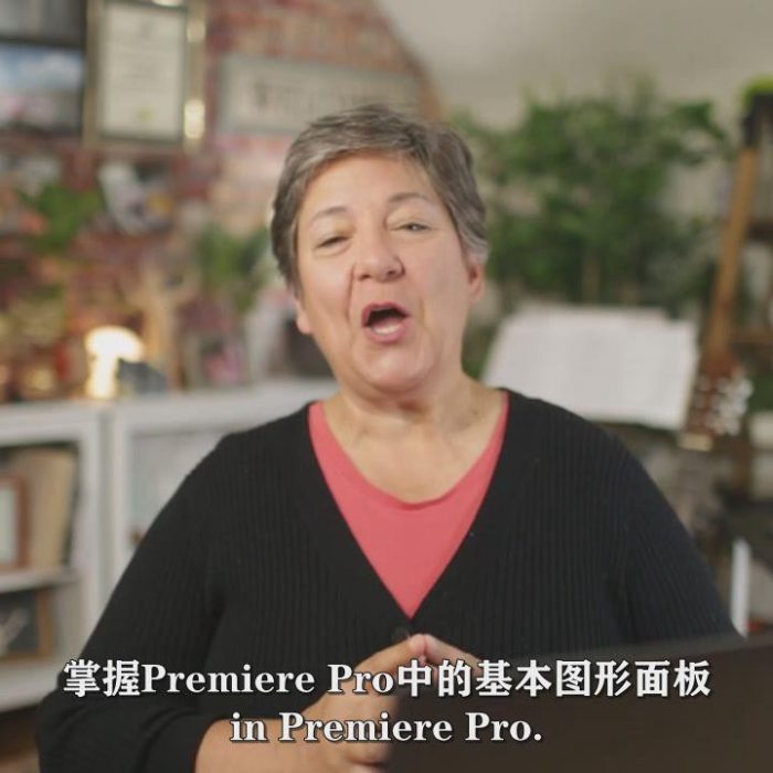 [Premiere教程]Premiere Pro图形动画模板实例制作视频教程【中文字幕】