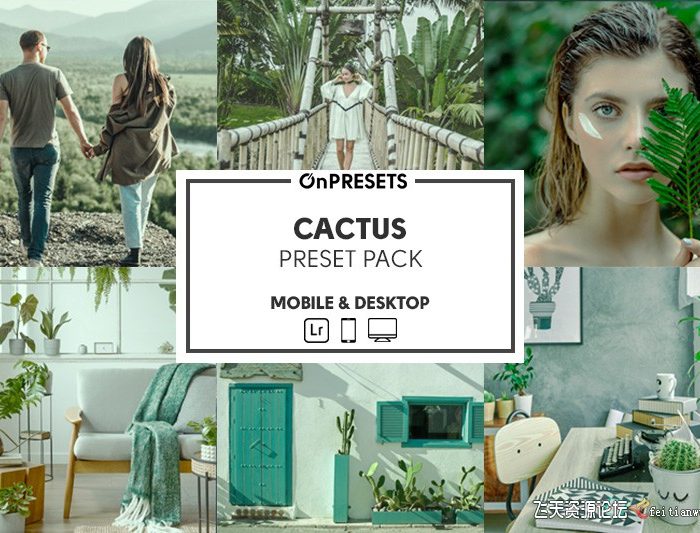 [旅拍LR预设]INS风格人像清新绿色调Lightroom预设 OnPresets -CACTUS