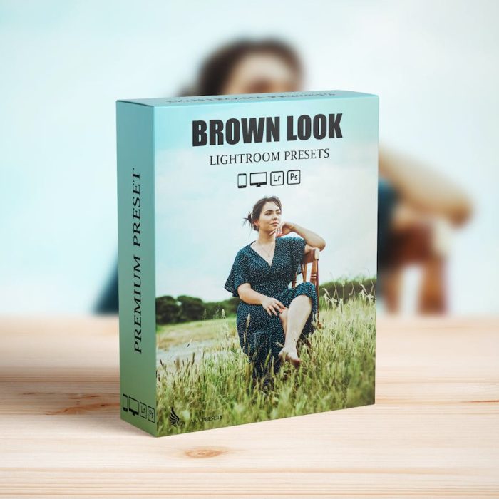 [人像LR预设]情绪电影人像Lightroom预设 Cinematic Moody Brown Lightroom Presets