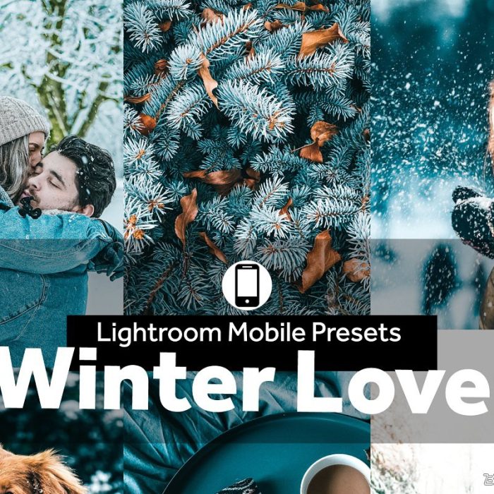 [人像LR预设]冬季之恋人像后期LR预设/移动APP预设Lightroom Presets Winter Love