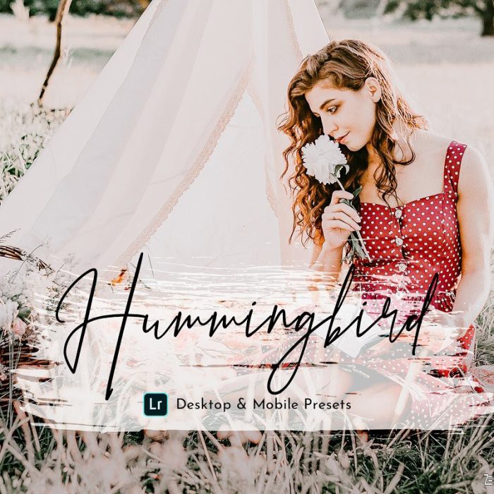 [人像LR预设]动感色彩童话情绪人像Lightroom预设/APP预设 HummingBird Lightroom Presets Pack