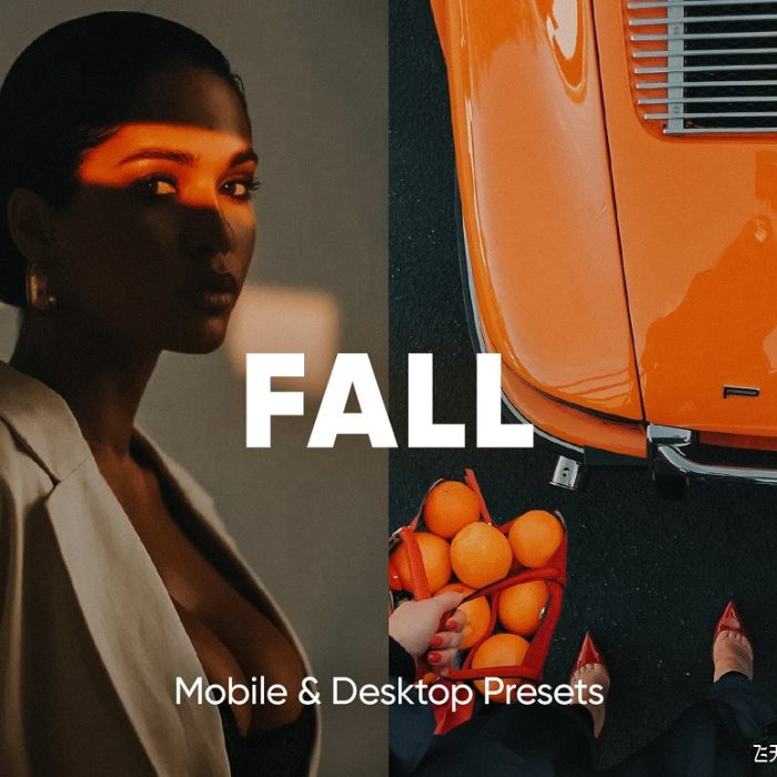 [旅拍LR预设]Instagram风格秋季色彩Lightroom预设 FALL LIGHTROOM PRESETS