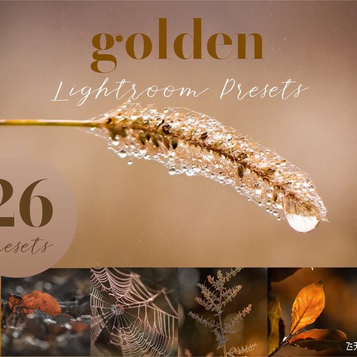 [风光LR预设]26个秋季微距风光金色调Lightroom预设 Golden Lightroom Presets