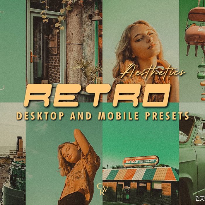 [胶片LR预设]10种复古胶片美学Lightroom预设 10 Retro Aesthetics Lightroom Presets