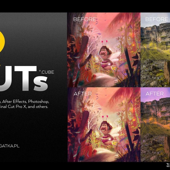 20组很棒的电影色彩LUTs预设PS/AE/PR/FCPX/达芬奇调色LUTs预设