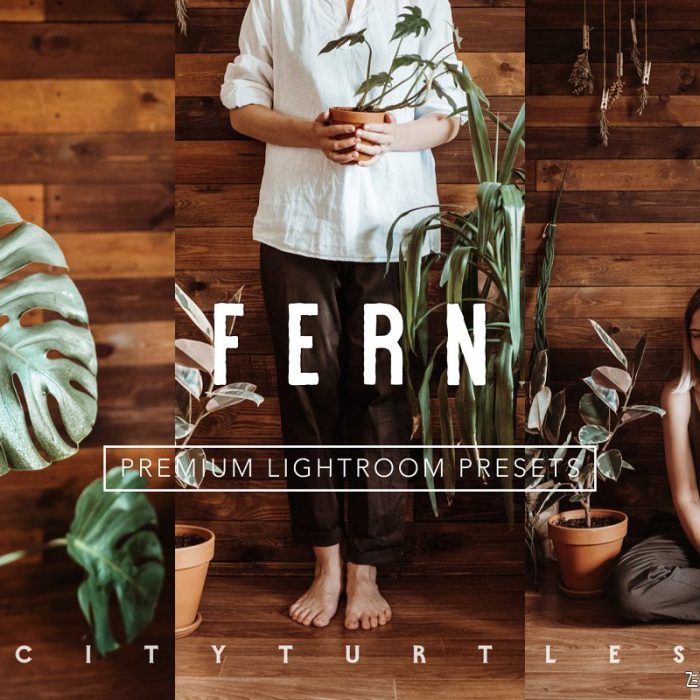 [胶片LR预设]穆迪·费尔恩(Moody Fern)胶片LR预设Rich Warm FERN Lightroom Presets
