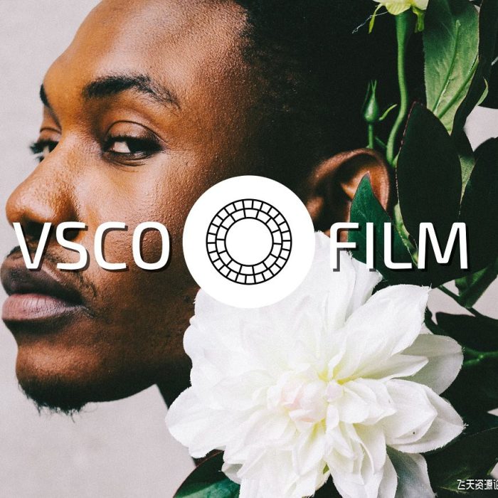 [胶片LR预设]VSCO电影胶片LR预设套装/手机VSCO照片滤镜 VSCO Film Lightroom Presets Bundle