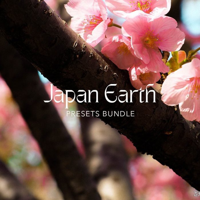 [日系LR预设]摄影师Anjani Mega日系复古胶片ins人文风光Lightroom预设/移动APP预设