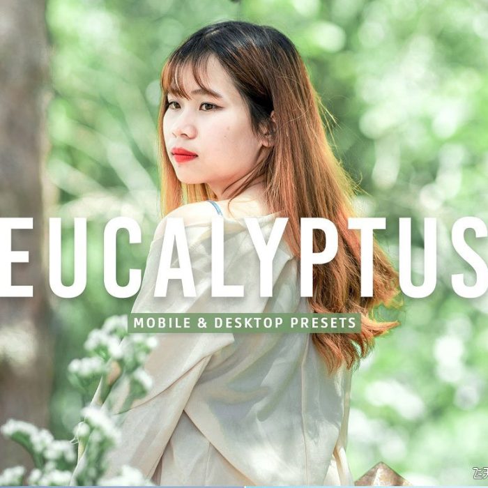 [人像LR预设]清新明亮胶片人像后期Lightroom预设 Eucalyptus Pro Lightroom Presets