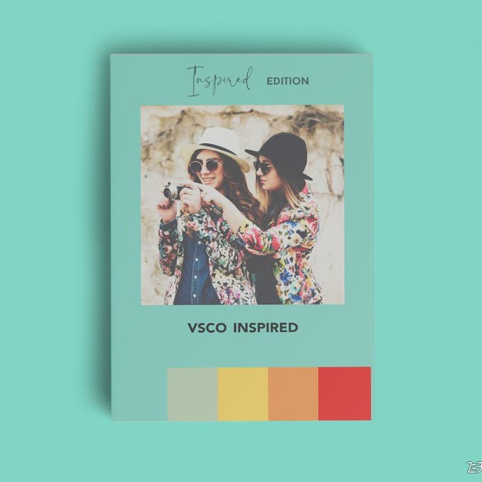 [手机版lr预设]专业VSCO启发手机版LR胶片预设 VSCO Inspired Mobile Lr Presets