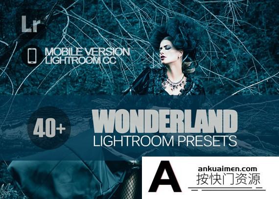 [手机版lr预设]40个梦幻仙境人像手机版Lightroom预设 Lightroom Mobile CC预设