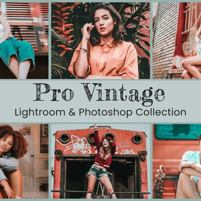 [胶片LR预设]老式胶片人像Lightroom预设及LUT预设 Vintage Lightroom Photoshop LUTs
