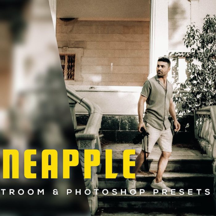 [旅拍LR预设]生活人像电影胶片感Lightroom预设 Pineapple Lightroom Presets