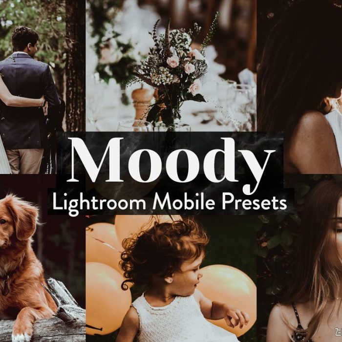 [胶片LR预设]质朴电影人像胶片效果Lightroom预设+手机版Lightroom APP滤镜