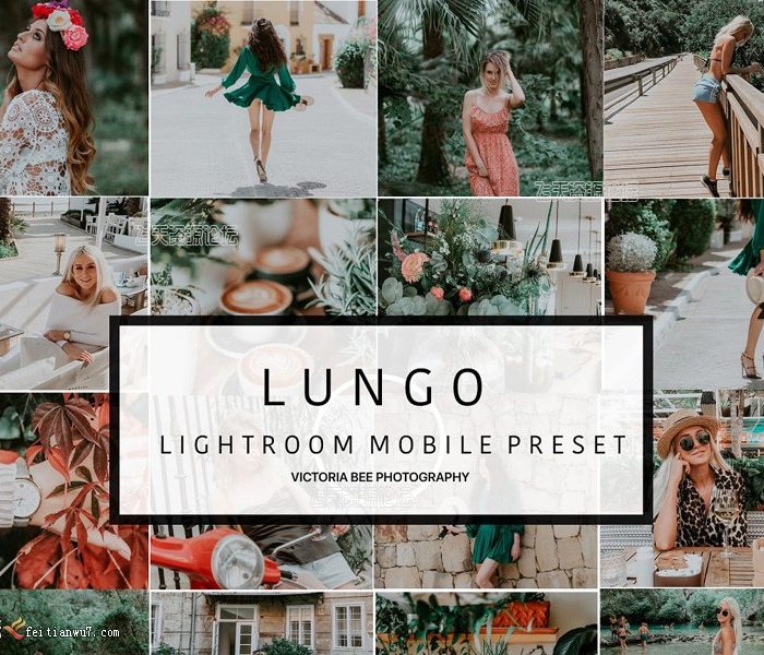 [胶片LR预设]INS磨砂清新胶片Lightroom预设+手机版lr预设Victoria Bee Lightroom