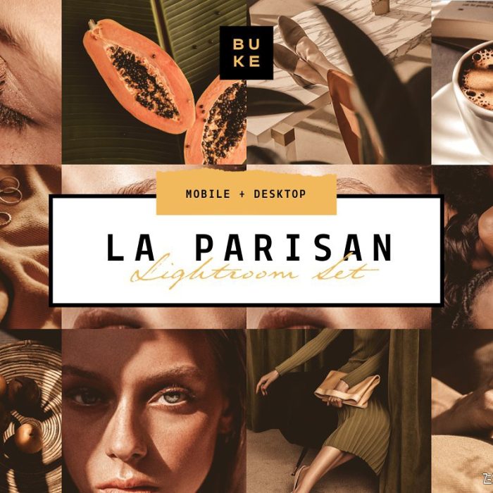 [胶片LR预设]莫兰迪棕褐色复古胶片LR预设+APP预设 La Parisan Lightroom Preset