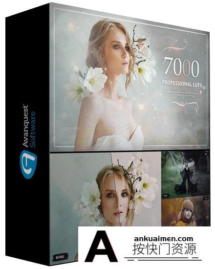 7000个LUT预设下载-7000专业电影颜色分级LUT预设 7000+ Professional LUTs