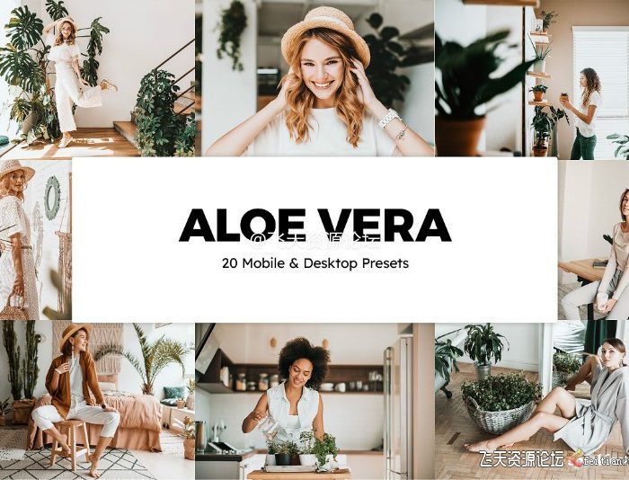 [人像LR预设]干净明亮柔和芦荟绿人像摄影调色LR/LUT预设Aloe Vera Lightroom Presets LUT