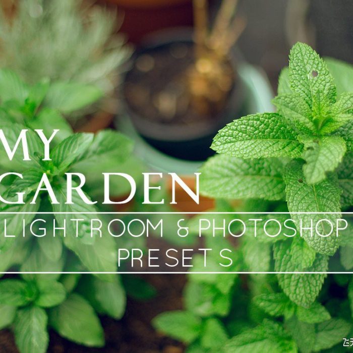 [风光LR预设]9个自然花卉摄影后期调色Lightroom预设 9 Nature Lightroom Presets