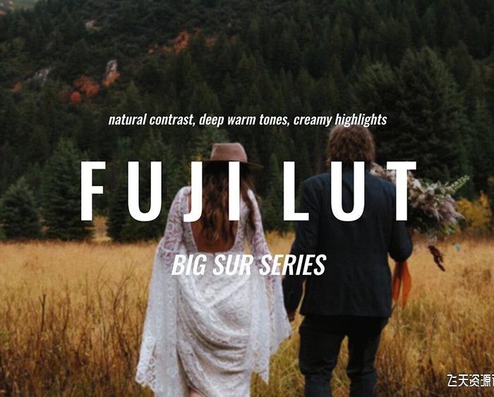 专业富士标准胶片模拟(非 F-Log)FUJIFILM LUT – BIG SUR 系列视频调色LUTs预设
