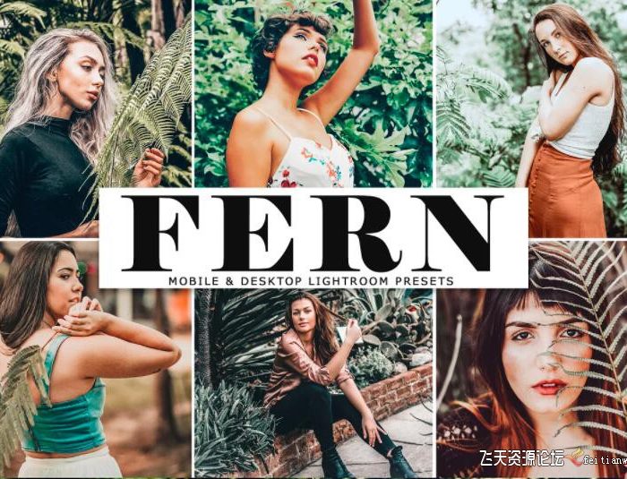 [人像LR预设]优美意境森系胶片人像后期调色Lightroom预设 Fern Lightroom Presets