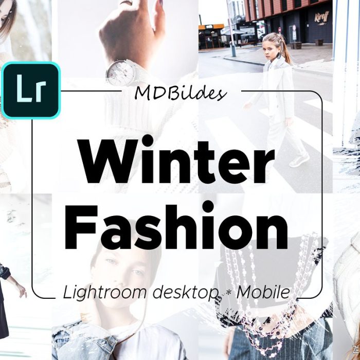 [人像LR预设]冬季时尚灰色调LR预设+APP预设 Lightroom Presets, Winter Fashion