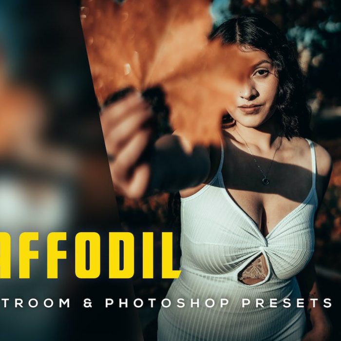 [人像LR预设]INS风格电影人像Lightroom预设 Daffodil Lightroom Presets