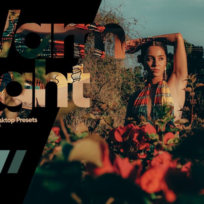 [人像LR预设]ARTA  Presets- 情绪暖调人像后期Lightroom预设 Warm Light Presets