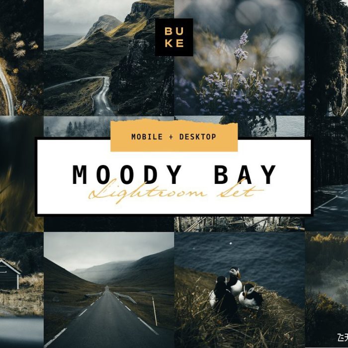 [风光LR预设]旅拍黑暗情绪电影胶片风光后期LR预设 /手机版LR预设 Moody Bay