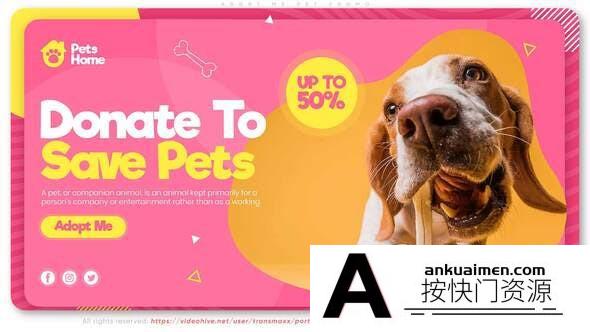 [Premiere模板]PR模板-宠物店宣传介绍广告视频动画模板 Adopt Me | Pet Promo