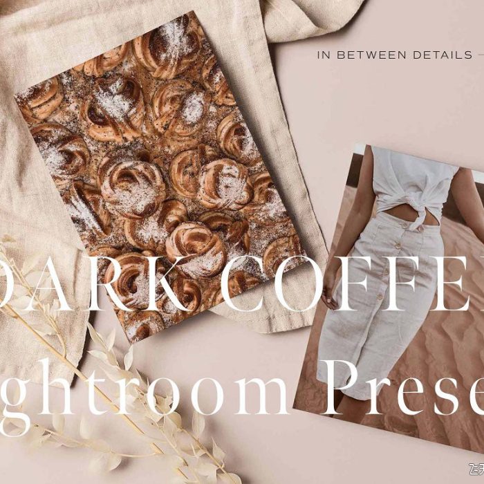[胶片LR预设]暗色咖啡色调Lightroom预设APP预设 Dark Coffee Lightroom Presets