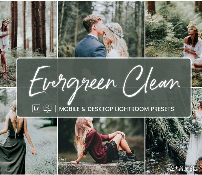 [胶片LR预设]森系电影胶片LR预设+手机lr预设 Lightroom Presets Evergreen Clean