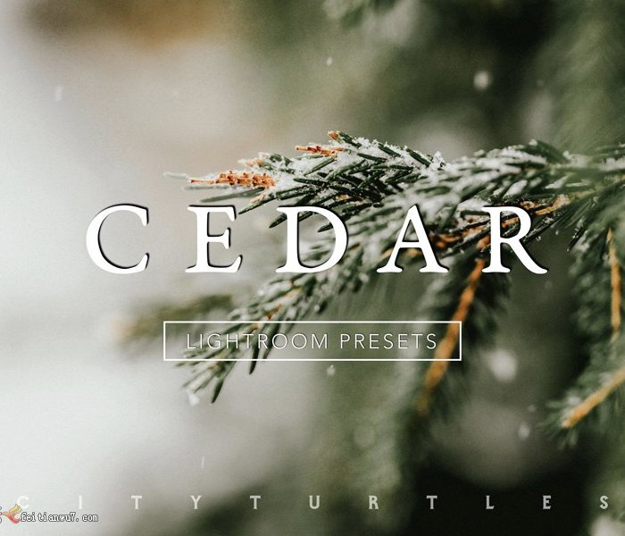 [人像LR预设]微妙胶片色调桌面+移动LLightroom预设套装CEDAR Subtle Moody lr