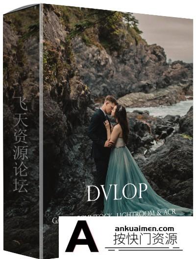 [婚礼LR预设]旅行外景婚纱摄影Lightroom预设 Dvlop – GABE MCCLINTOCK