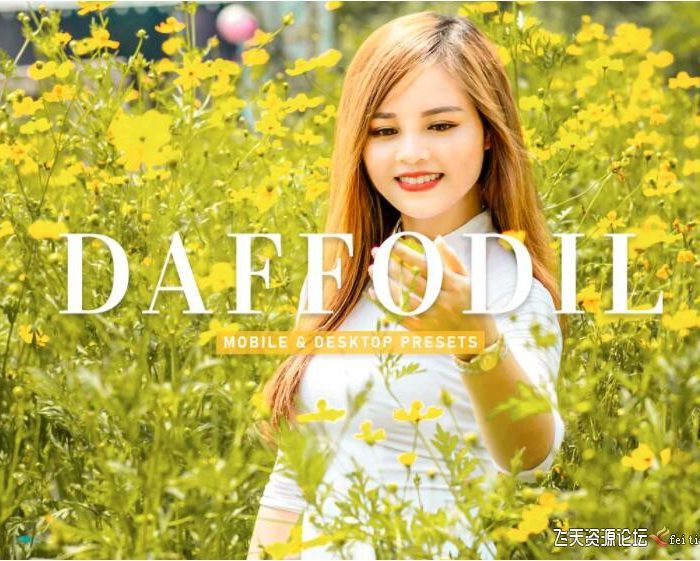 [人像LR预设]旅行人像摄影后期调色Lightroom预设 Daffodil Pro Lightroom Presets