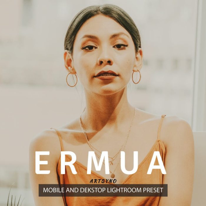 [胶片LR预设]模拟电影胶卷人像Lightroom预设 Ermua Lightroom Presets Dekstop and Mobile