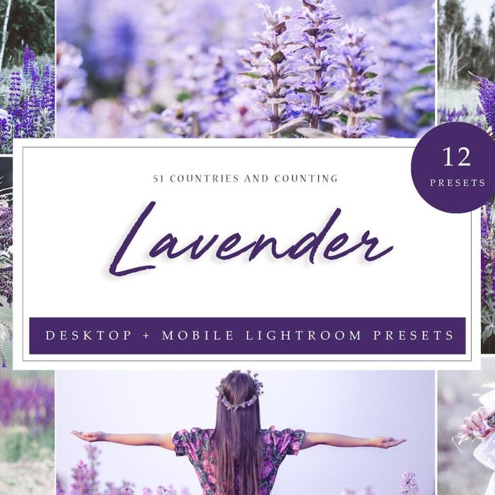 [人像LR预设]唯美薰衣草色调人像Lightroom预设 Lightroom Presets – Lavender