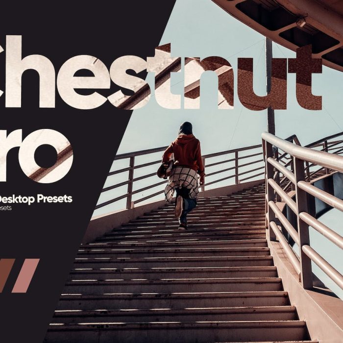 [旅拍LR预设]ARTA Presets- 栗色旅拍电影风光LR预设Chestnut Pro Presets for Lightroom