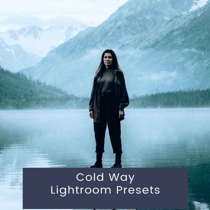 [旅拍LR预设]冷色调旅拍风光人像Lightroom预设 Cold Way Lightroom Presets