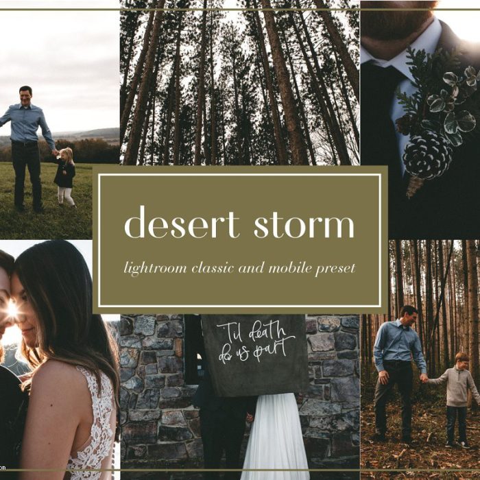[人像LR预设]胶片感旅拍人像Lightroom预设+手机版lr预设 desert storm lightroom