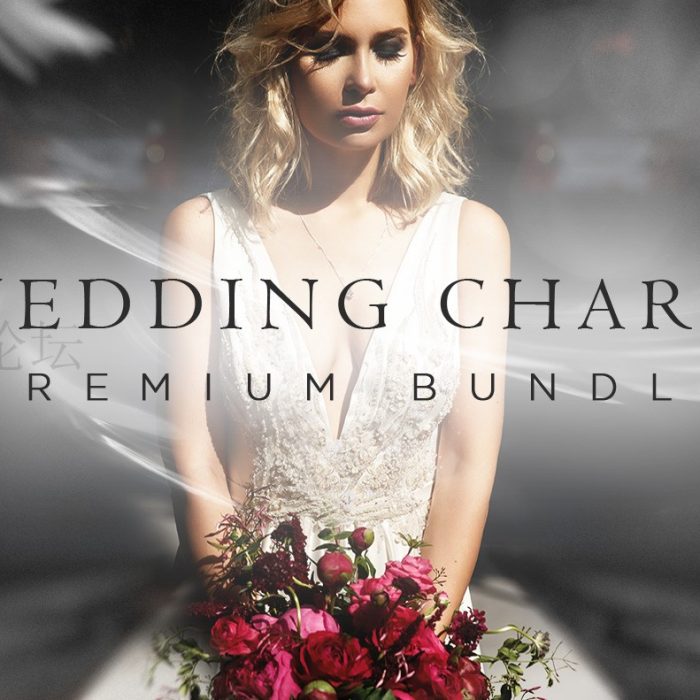 [婚礼LR预设]顶级婚礼魅力套装 LR+ACR预设WEDDING CHARM PREMIUM BUNDLE (1250+ ITEMS)